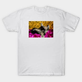 Bicolor Vulture / Swiss Artwork Photography T-Shirt